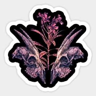 Goat Skull V1 Sticker